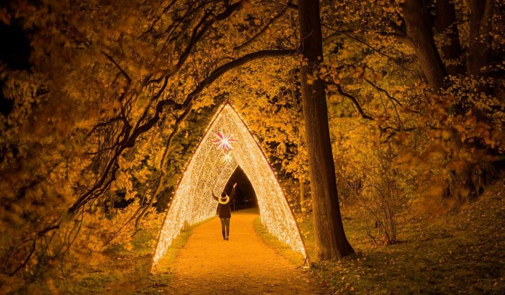 **Featured image was downloaded from the internet as I couldn't get a good view to click a picture of my own.